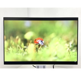 Eizo FlexScan EV2456 24" (клас А)