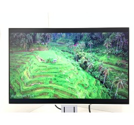 Eizo FlexScan EV2456 24" (клас А)