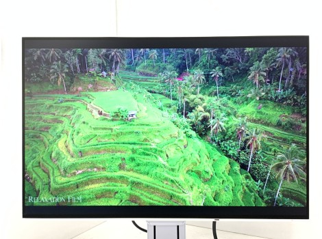 Eizo FlexScan EV2456 24" (клас А)