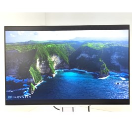 Eizo FlexScan EV2456 24" (клас А)