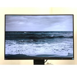 Eizo FlexScan EV2455 24" (клас А)