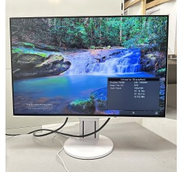 Eizo FlexScan EV2456 24" (клас А)