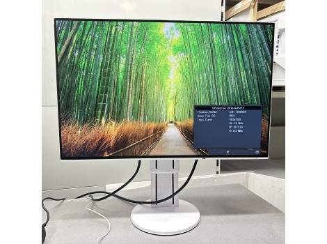 Eizo FlexScan EV2456 24" (клас А)