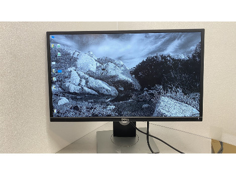 Dell Professional P2417H 24" (клас А)