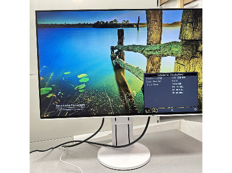Eizo FlexScan EV2456 24" (клас А)