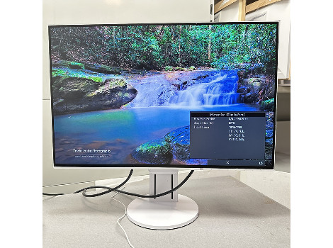Eizo FlexScan EV2456 24" (клас А)