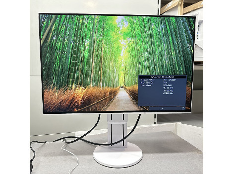 Eizo FlexScan EV2456 24" (клас А)