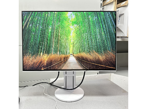 Eizo FlexScan EV2456 24" (клас А)