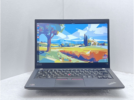 Lenovo ThinkPad T495 14" Ryzen 3 PRO 3300U 8GB 510GB клас Б