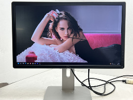 Монитор Dell P2415Qb 24" (клас А)