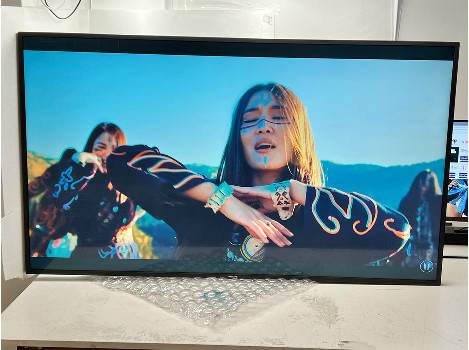 Philips 55BDL3010Q 55" (клас А)